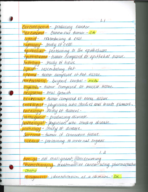 Medical Terminology Week 1 Notes