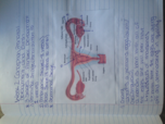 CAS 101 - Week 2 Notes