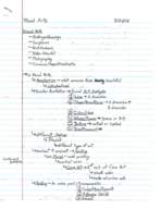 Hum 1020, Visual Arts, first notes, Weeks 3-6