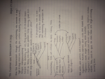 BIOB160 Notes Week 1