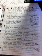 Industrialization notes