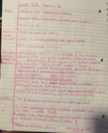 Sociology- week 3 notes 