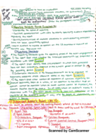 ACCT 4334- Chapter 2, Part 2- PPA class notes