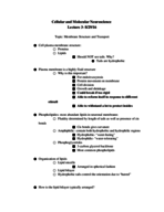Lecture 3 Notes