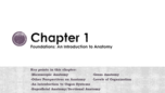 Human Anatomy and Physiology Chapter 1