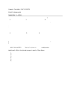 study guide 1