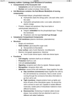 Anat 25: week one cytology nots