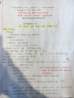 Life 102, chapter 6 notes