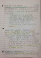 Ramses the Great Lecture Notes: Week 4