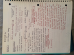 British Literature Review of Northanger Abbey 
