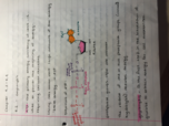 Chapter 4.2- 4.4 Energy from Organic Molecules