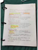 Microbiology Week 4 Class notes