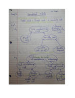 BANA 2082, Week 4 Notes