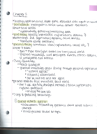 3305 Kinesiology Chapter 2 Notes