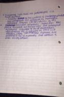 Chapter 7 notes 