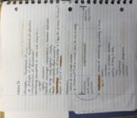 Lecture 2 - Metaethics