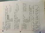 Study guide #1