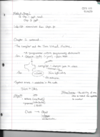 CIS 110 - Object Oriented Programming 