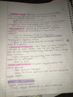 Intro to Sociology, Week 4 Notes