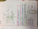 Lecture 8
