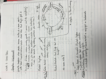 Week 3- Economics