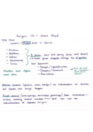 REL 101: Intro to World Religions and Hinduism Notes