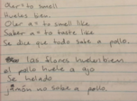 week 4 notes Advanced Spanish