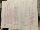 Week 4 notes -soc