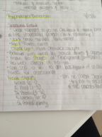 Human Behavior and Social Environment Notes 9/13/16