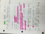Principles of Macroeconomics, Week 5 In Class Notes