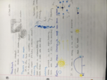 ASTR 131 N - Planetary Astronomy