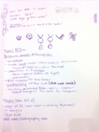Type 2 - Week 4