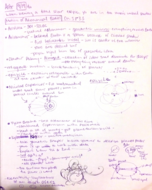Astronomy Week 4