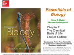 Chapter 2 Powerpoint
