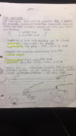 Bio week 9/12