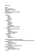 HDFS201 Week 4 Notes
