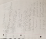 parenting week 2 notes 