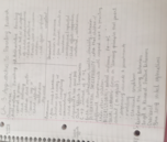 parenting week 3 notes 