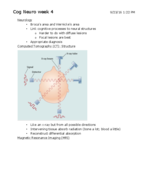 Cognitive Neuroscience Week 4