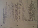 BIOL 23100 Week 1 Notes
