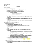 Membranes PPT