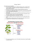 BSC 1005(Biology) for non majors. Chapters 3-9 Plants and People.