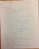 Iberian Culture and Civilization Class Notes, Week 2