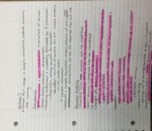 Lecture 1 - Biology and Learning