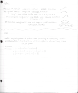 Theory, Week 2 Notes