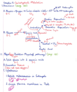 Microbiology/Bacteriology, Unit Two-section two