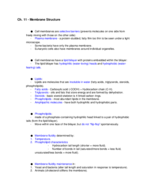Cell Bio-ch.11-key points