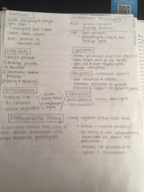 Ch. 3: Cell Structure and Function