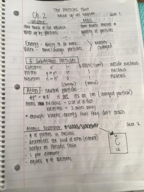 Chem 1110 Ch. 2 Notes