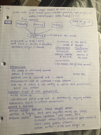Intro to Psych